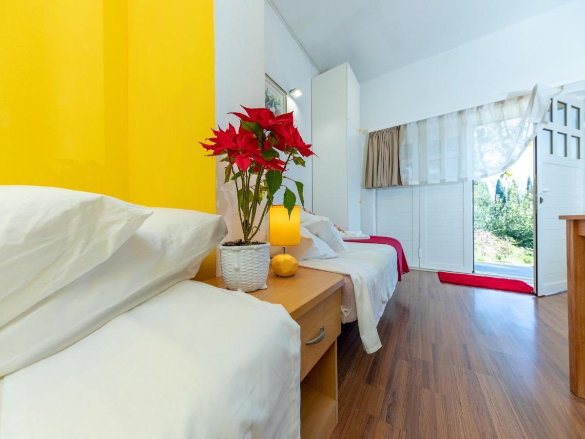 Area Apartma